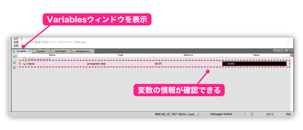 pic-practice-32_variables-window-content.png